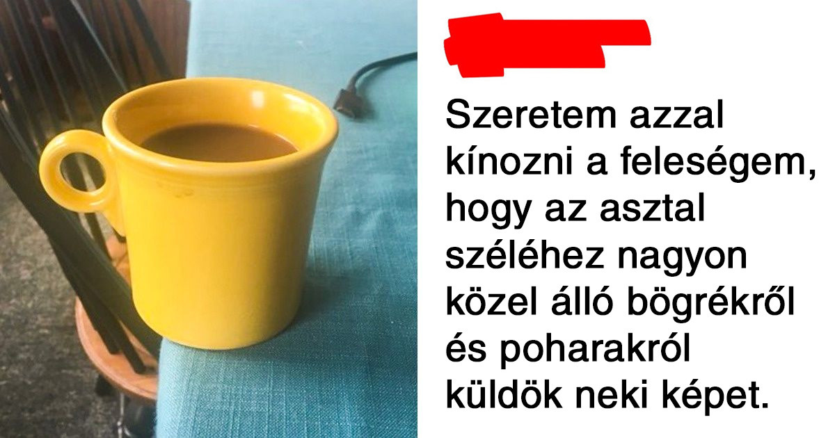20 fotó, ami bizonyítja, hogy a házasság néha inkább olyan, mint egy háború