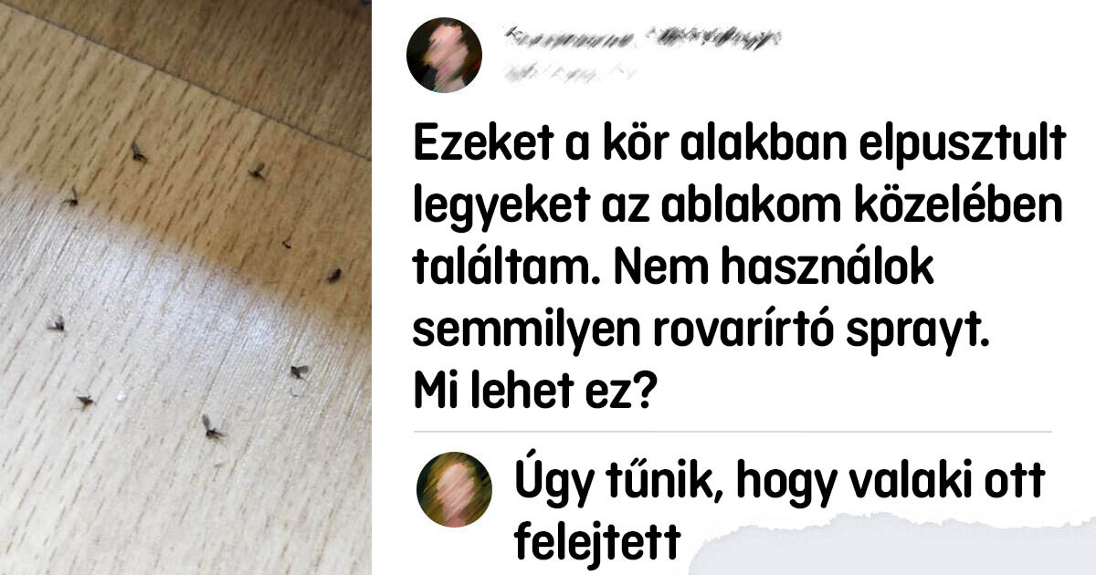14 alkalom, amikor az emberek furcsa és hátborzongató dolgokat találtak az otthonukban