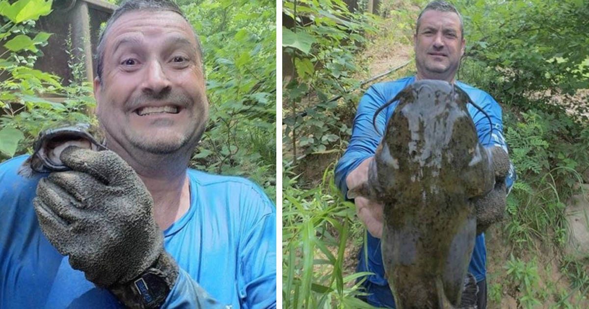 A szög sok mindent megváltoztat: 12 fotó, ami első ránézésre teljesen másnak tűnt