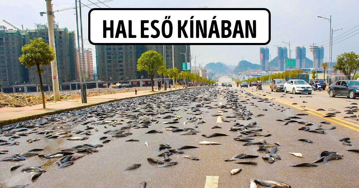 19 alkalom, amikor a valóságban több volt a hiba, mint bármelyik videojátékban