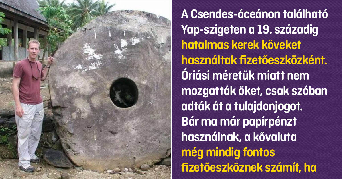 Halhatatlan medúza, a legnagyobb meteorit és még 13 érdekesség a világunkról