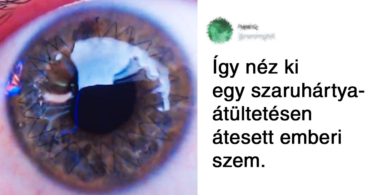 21 fotó olyan dolgokról és jelenségekről, melyeket sosem láthattunk volna élőben