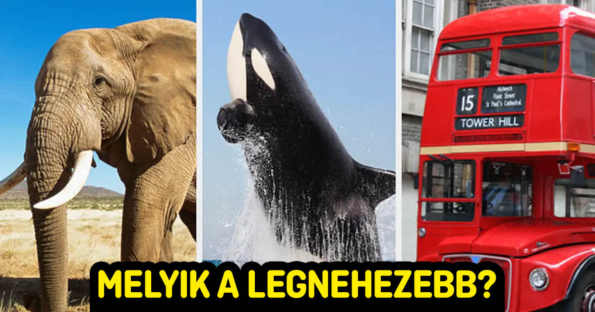 Teszteld a tippelési képességed azzal, hogy megpróbálsz helyesen válaszolni erre a 14 „Melyik a leg…?” kérdésre