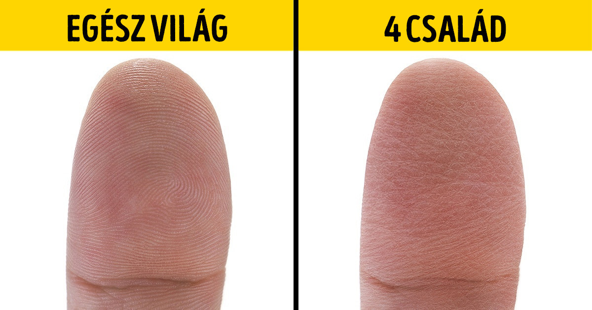 14 tudományos tény és válasz a legérdekesebb "miért" kérdésekre