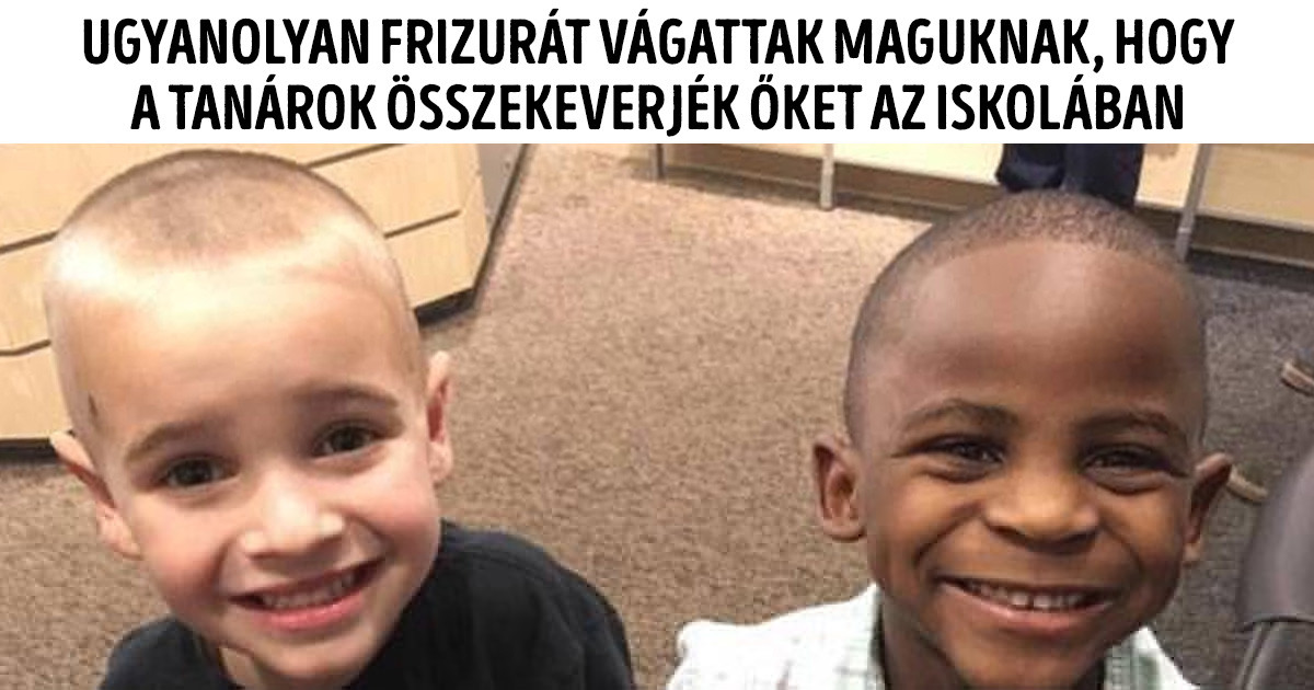 20 kisgyerek, akinek a tetteiben ugyan semmi logika, de legalább nagyon-nagyon viccesek