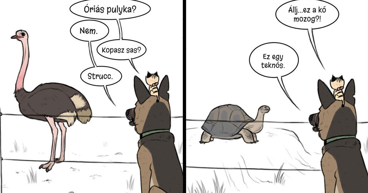 8 új ‘Pixie és Brutus’ képregény, ami segít bearanyozni a napod