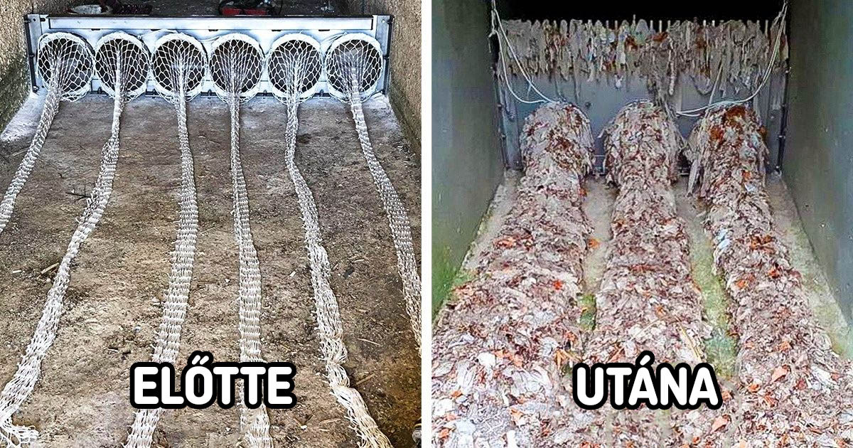 13 találmány, amik segítenek élhetőbb hellyé tenni a világot