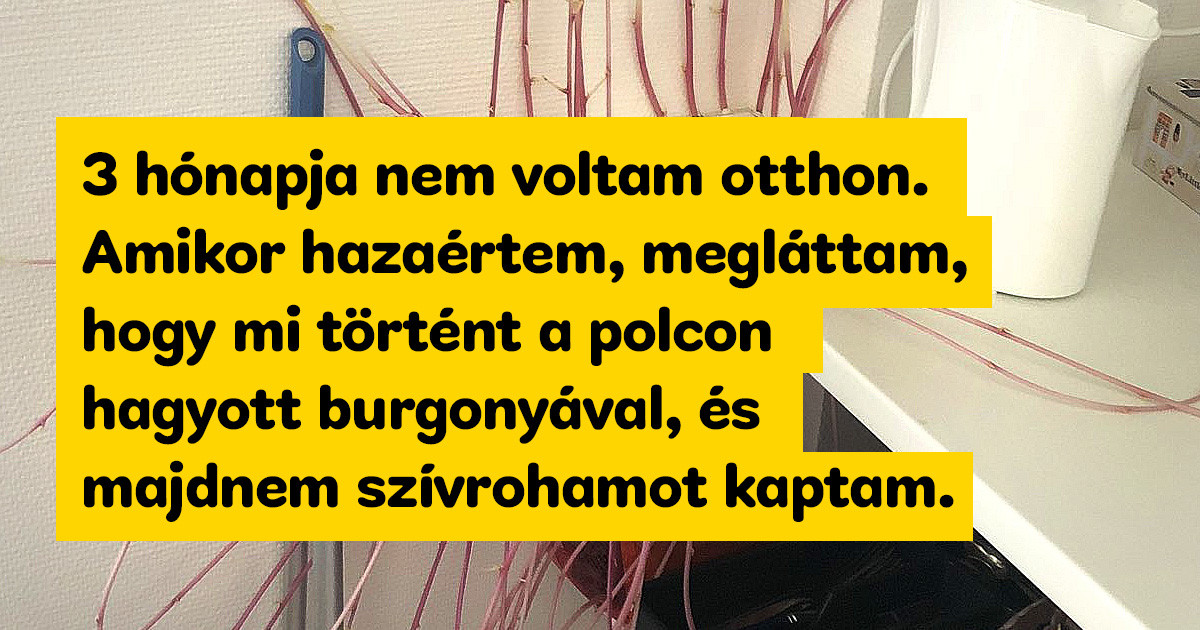 19 növény, ami teljesen átír mindent, amit eddig a növényekről gondoltunk