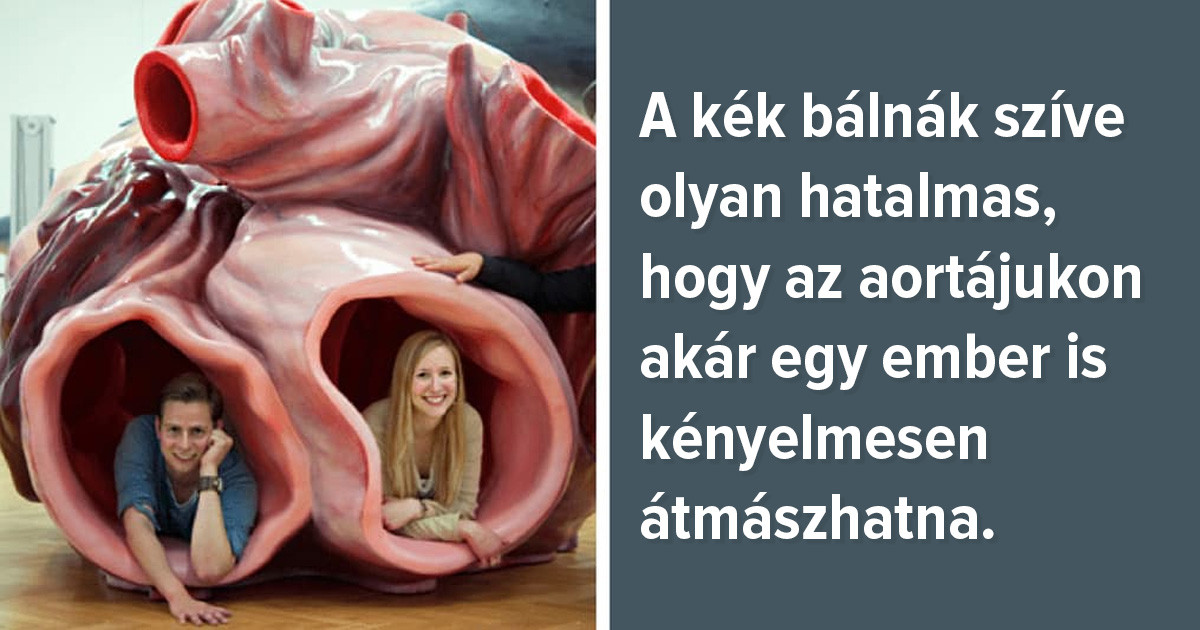 18 érdekes tény a világról, ami után Te is más szemmel nézel majd mindent