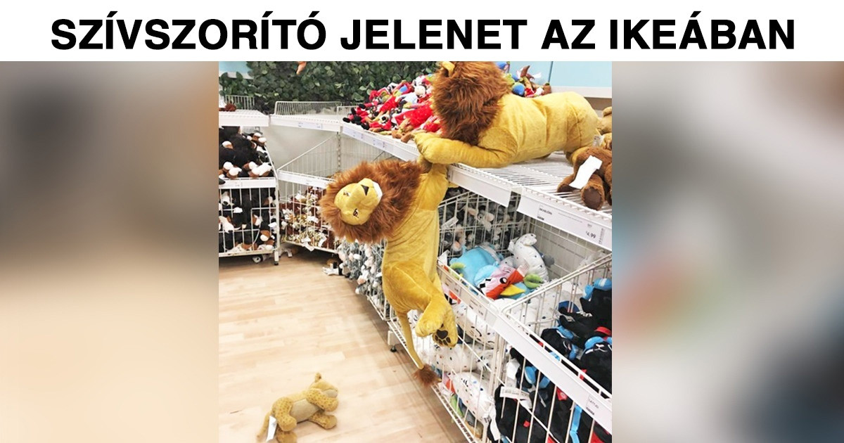 21 véletlen pillanat, ami bizonyítja, hogy a mindennapokban több a dráma, mint a 90-es évek sorozataiban