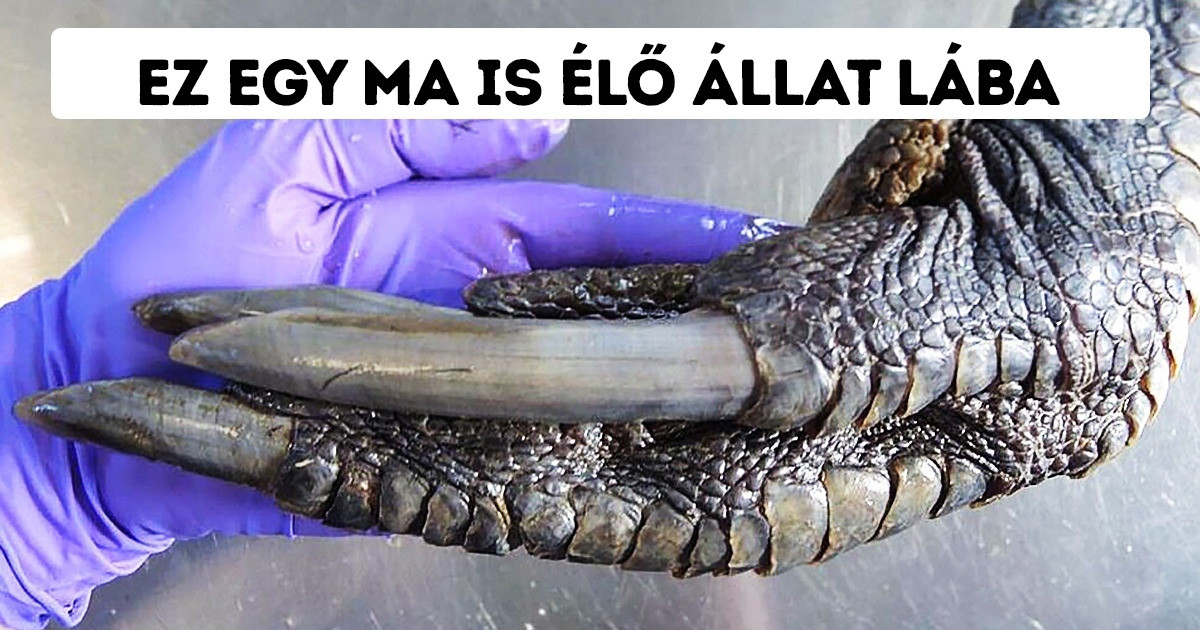21 lehetetlennek tűnő természeti jelenség, amire létezik logikus magyarázat