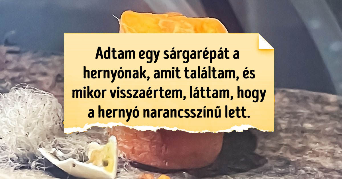 18 ember, akik érdekes felfedezéseket tettek, és az életük már nem volt ugyanolyan többé