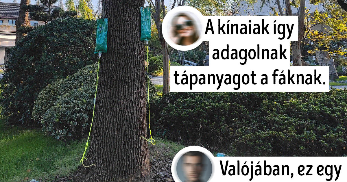 17 kép Kínából, ami a helyiek számára átlagos, de a külföldieknek kikerekedik a szeme