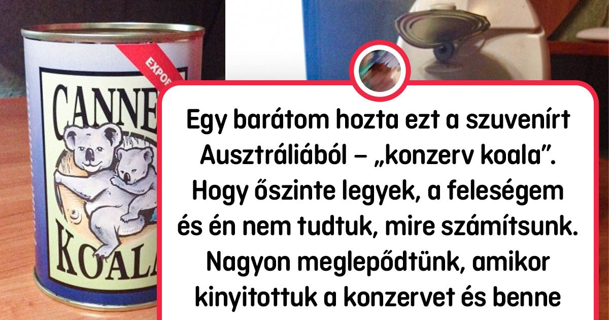 15+ fotó Ausztráliából, amik után meg akarod dörzsölni a szemed – mert nem hiszed el, amit látsz