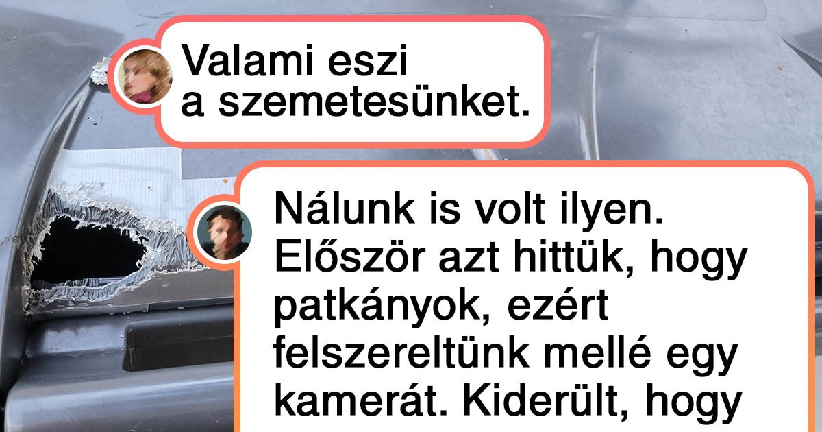 17 titokzatos fotó, amely próbára teszi idegrendszered
