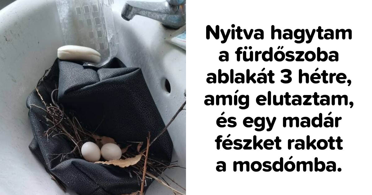 Az élet nem készített fel erre: 15 fotó