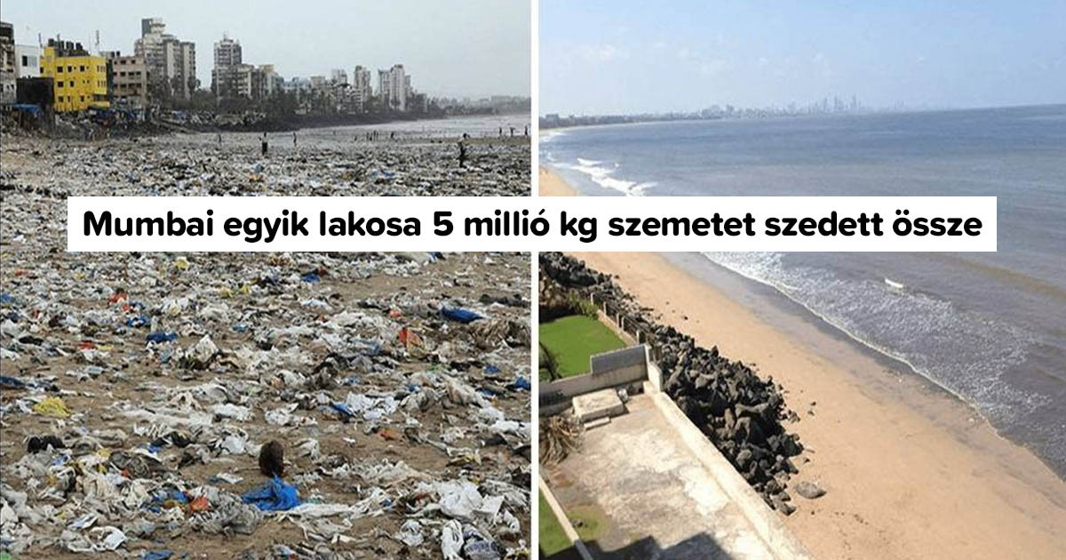 14 szemléletes előtte és utána fotó