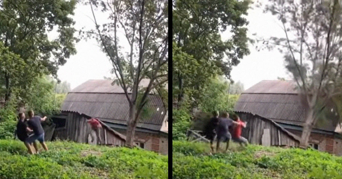 Három zseni favágó egy fával, és egy istállóval szemben. Majdnem sikerült