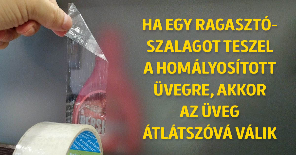 13 klassz tény, ami 180 fokban változtatja meg a világról alkotott képünket