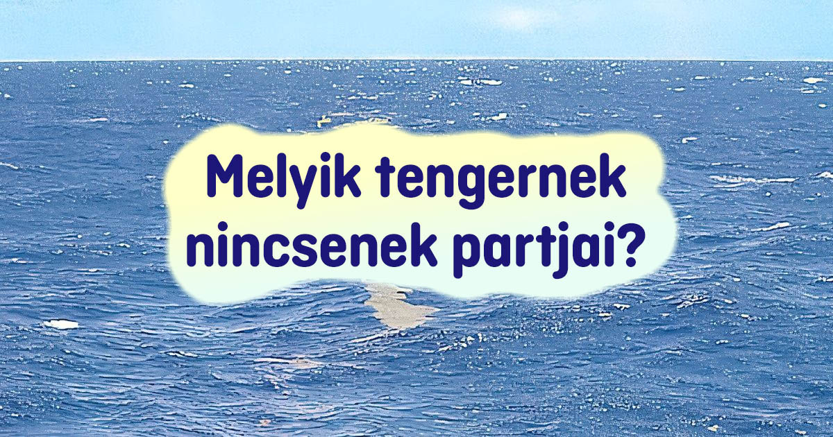 14 iskolai kérdés, ami még a legokosabb embereket is könnyedén összezavarja - de téged többé nem fog