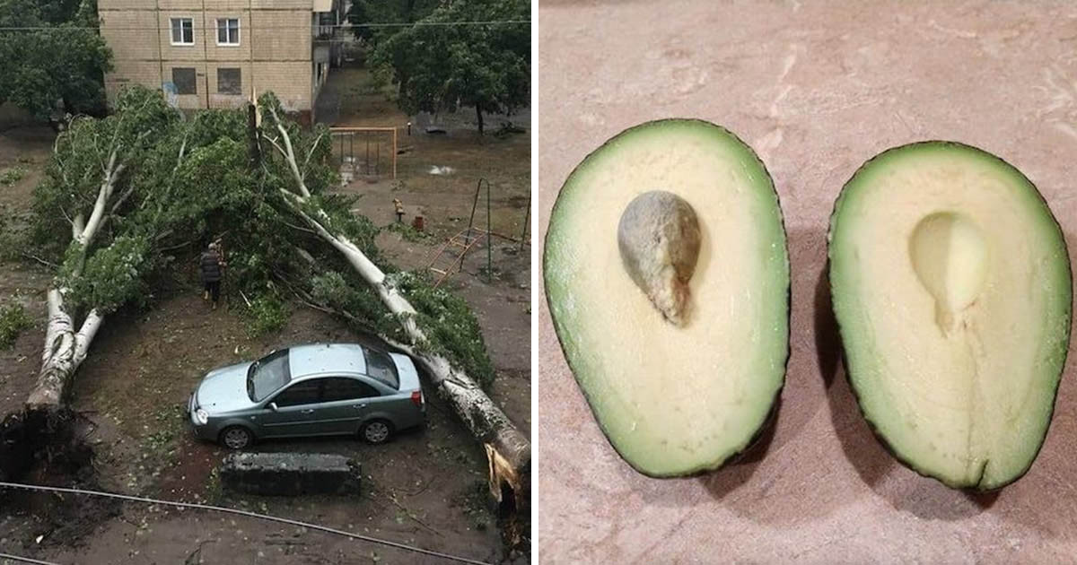 21 ember, akire a lehető legjobb pillanatban mosolygott rá a szerencse