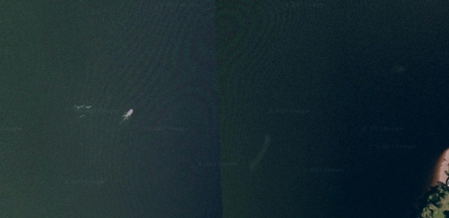 Lencsevégre kapott Loch Ness-i szörny
