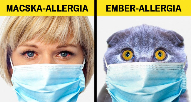 Ember és állat allergia