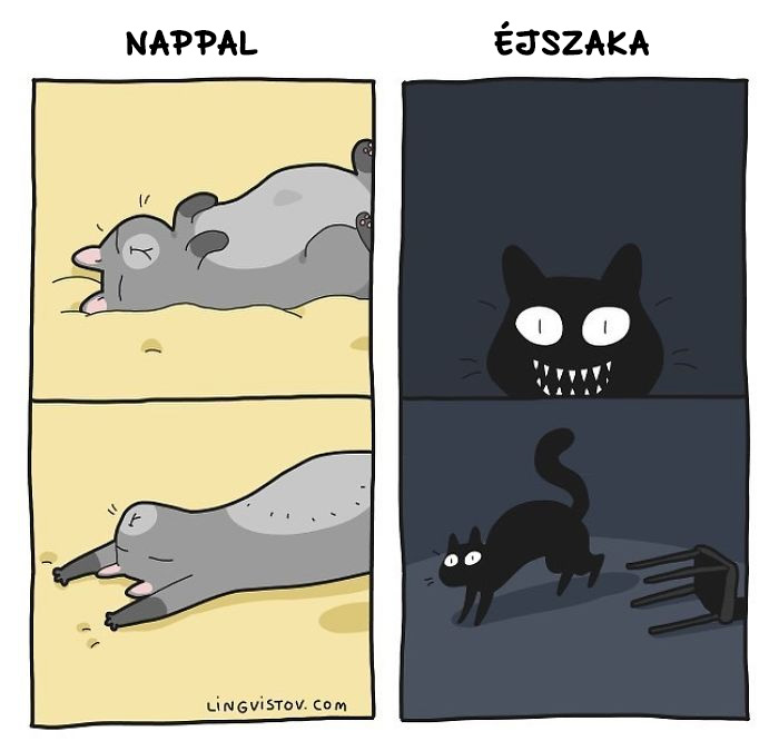 Nappal vs ejszaka