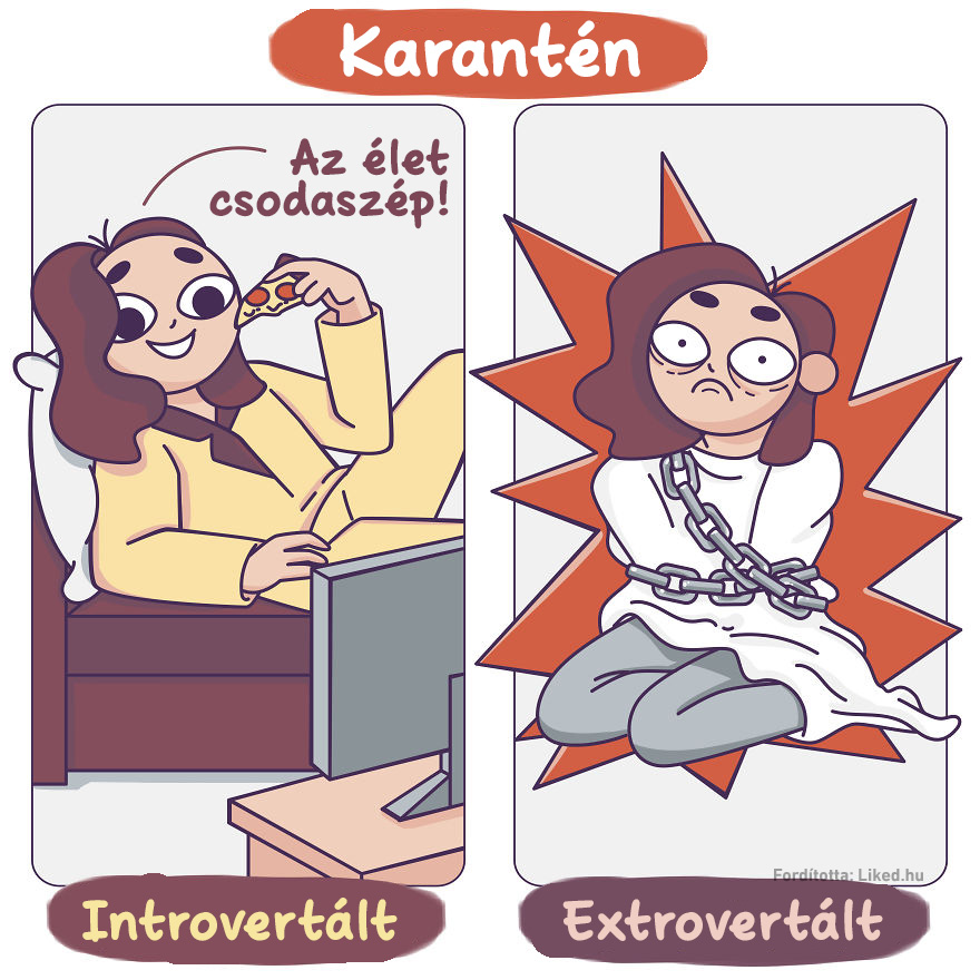 Karanten introvertalt vs extrovertalt
