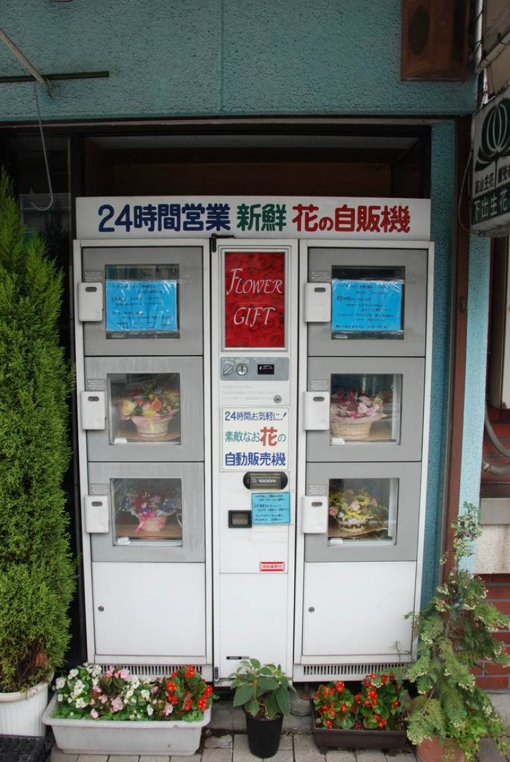 flower vending machine resize md