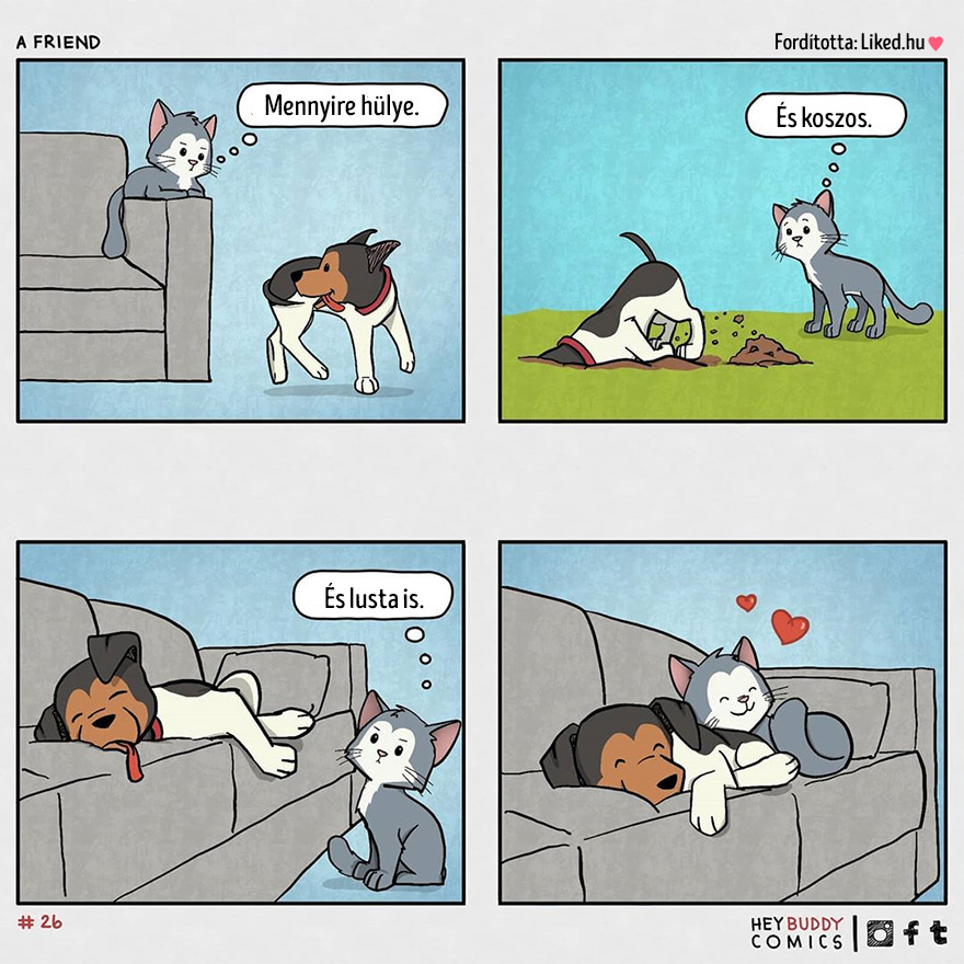 Kutya macska kapcsolat