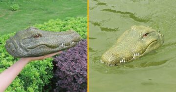 távirányítású krokodilfej