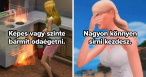 Sims karakter kvíz