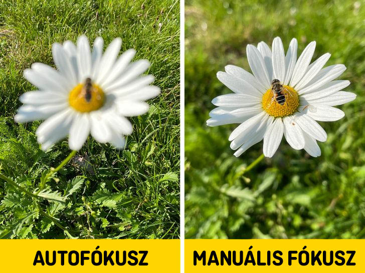 Auto vs manualis fokusz