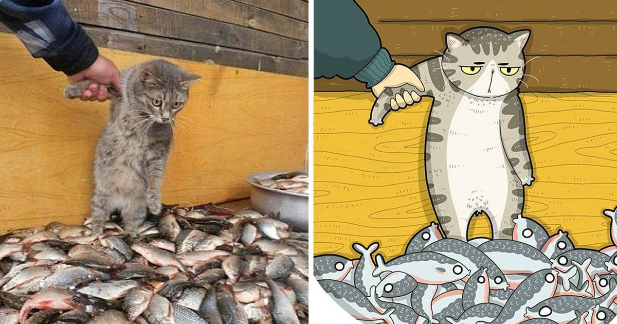 Macskás fotók karikatúra