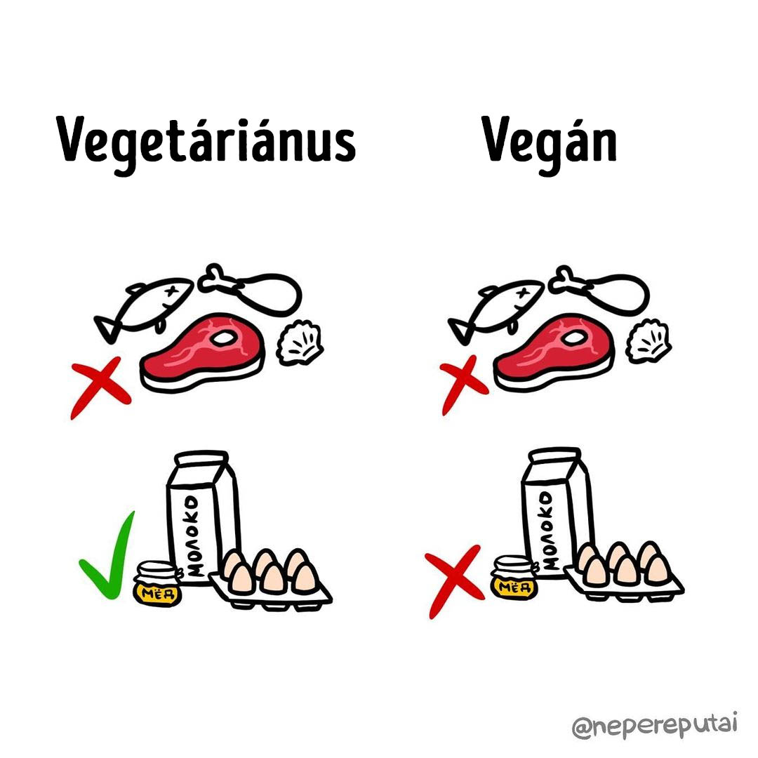 Vegetarianus es vegan