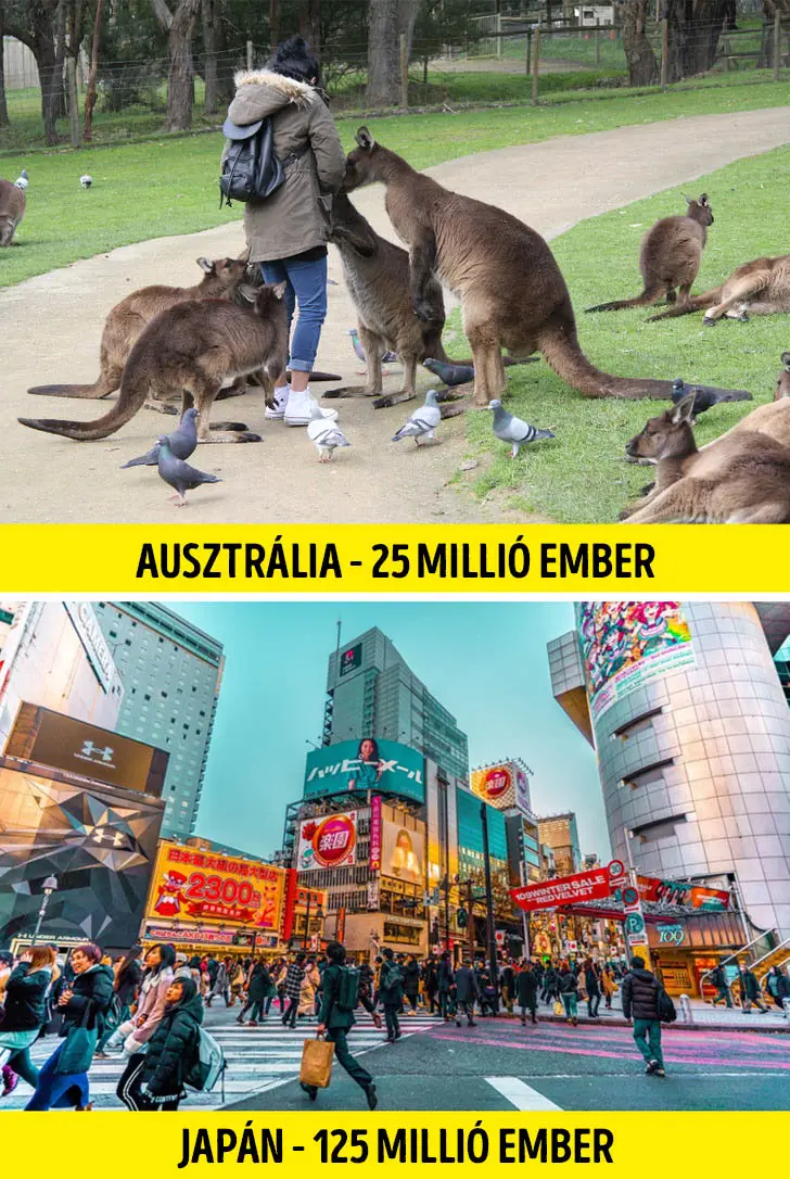 Ausztrália és japán lakossága