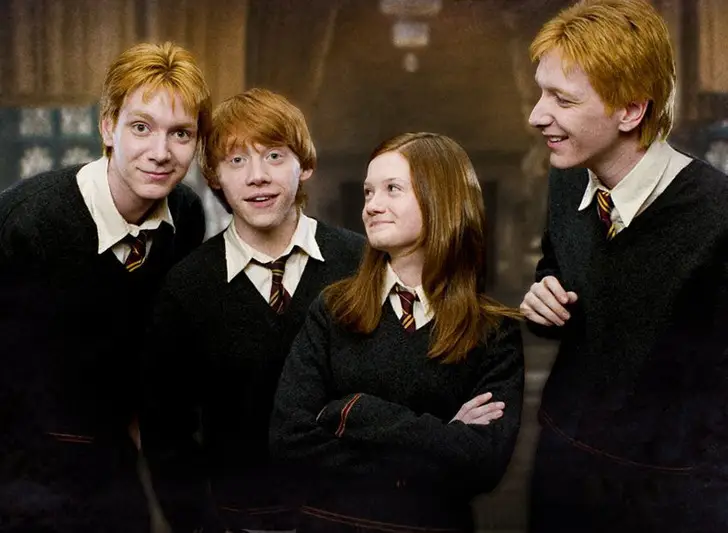 Harry Potter melyik család kvíz 9