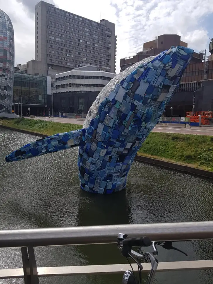 Holland műanyag hulladék bálna