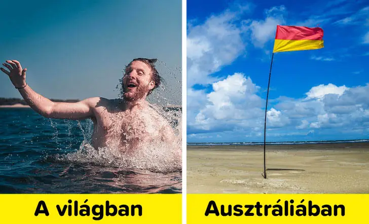 Ausztrál tengerparti zászló