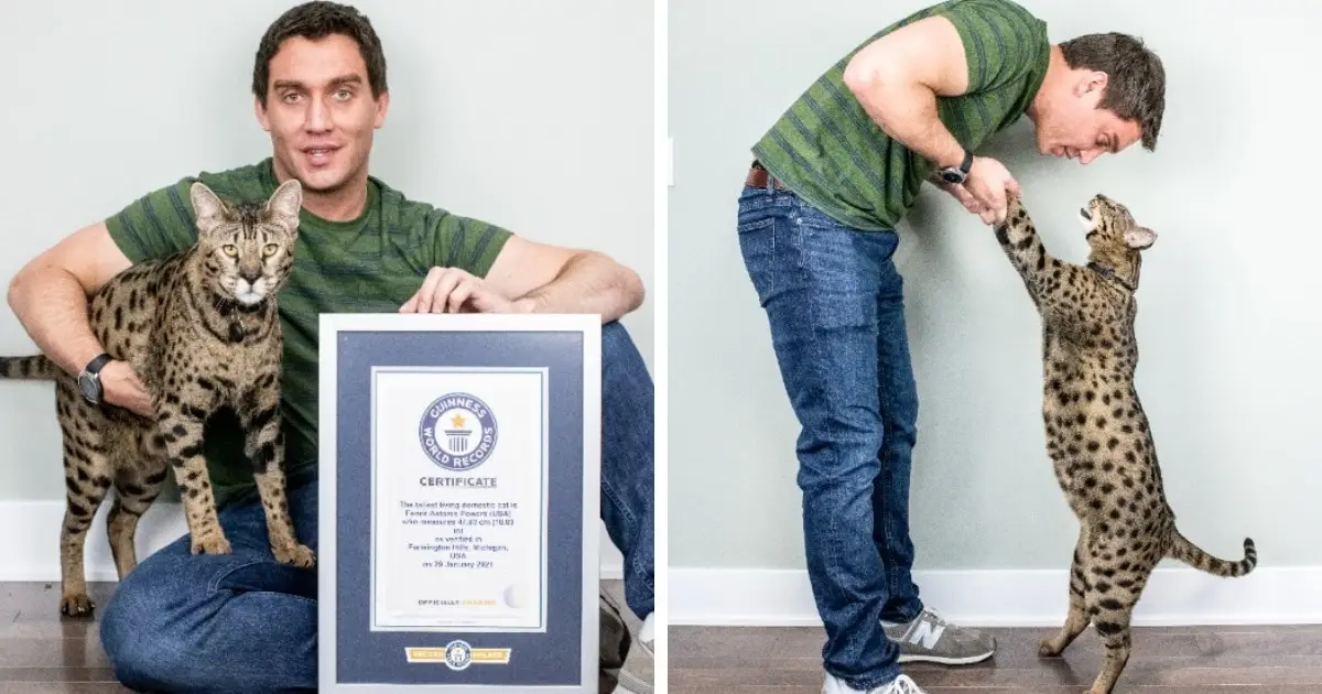 Guinness rekord 8