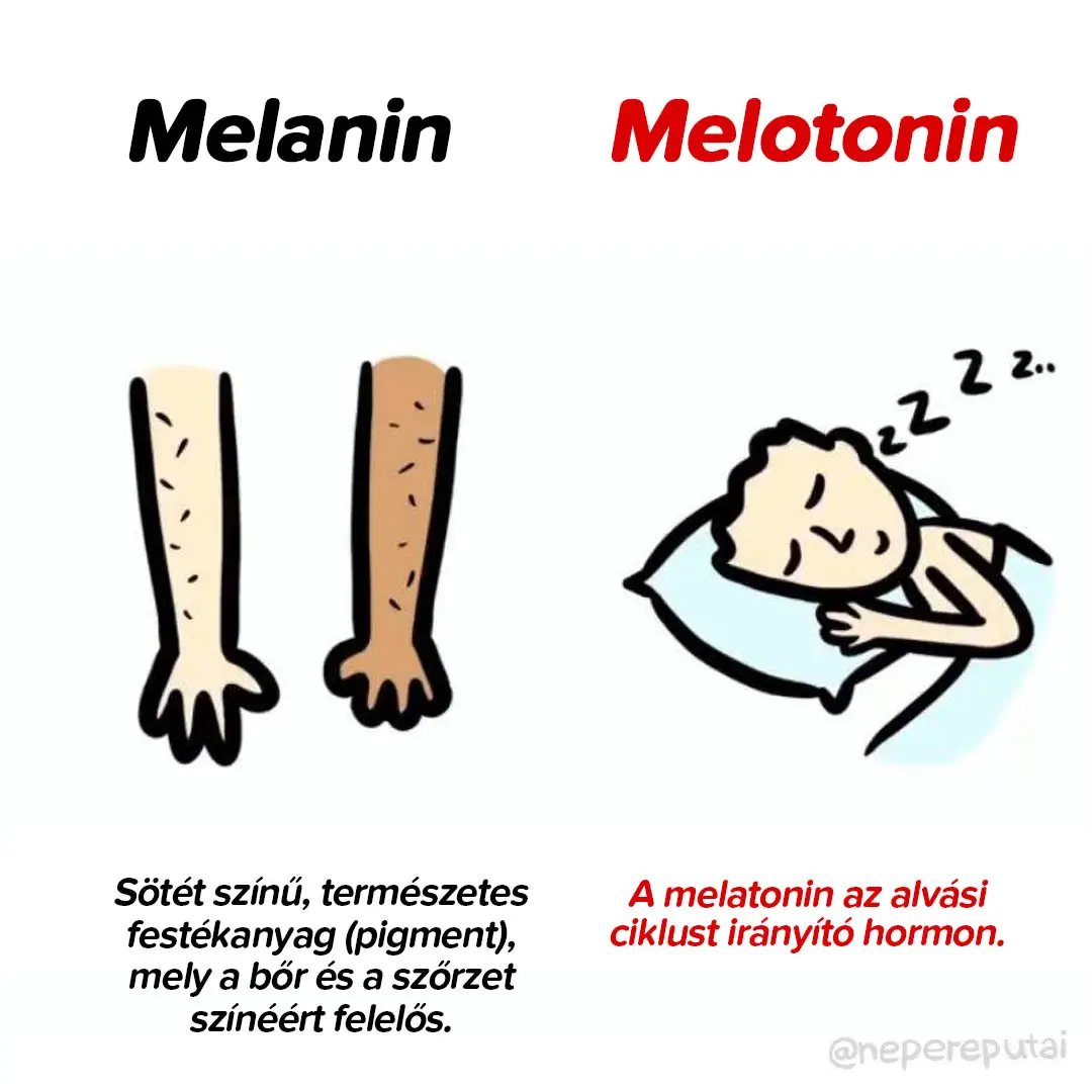 Melanin és melotonin