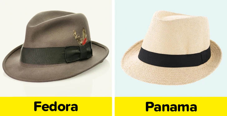 Fedora vs panama kalap