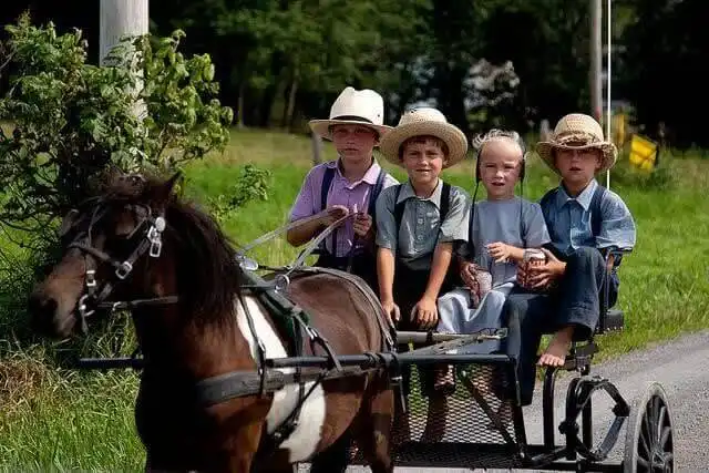 Amishok érdekességek 015