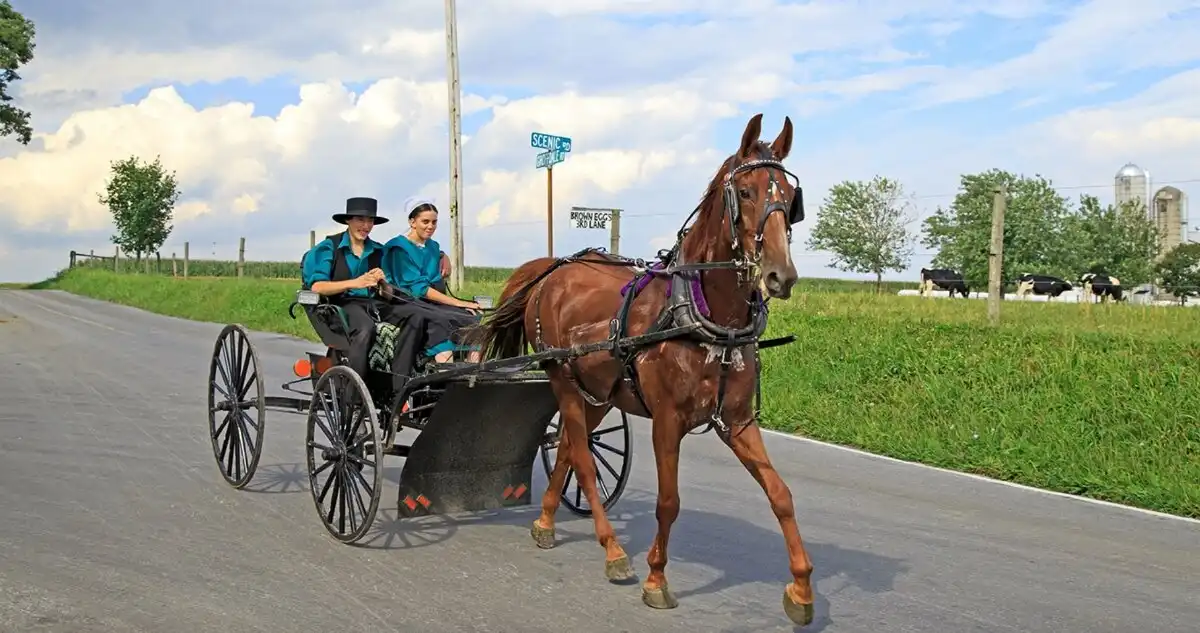 Amishok érdekességek 018