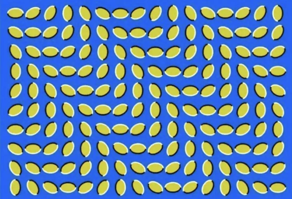 Optical illusions 022