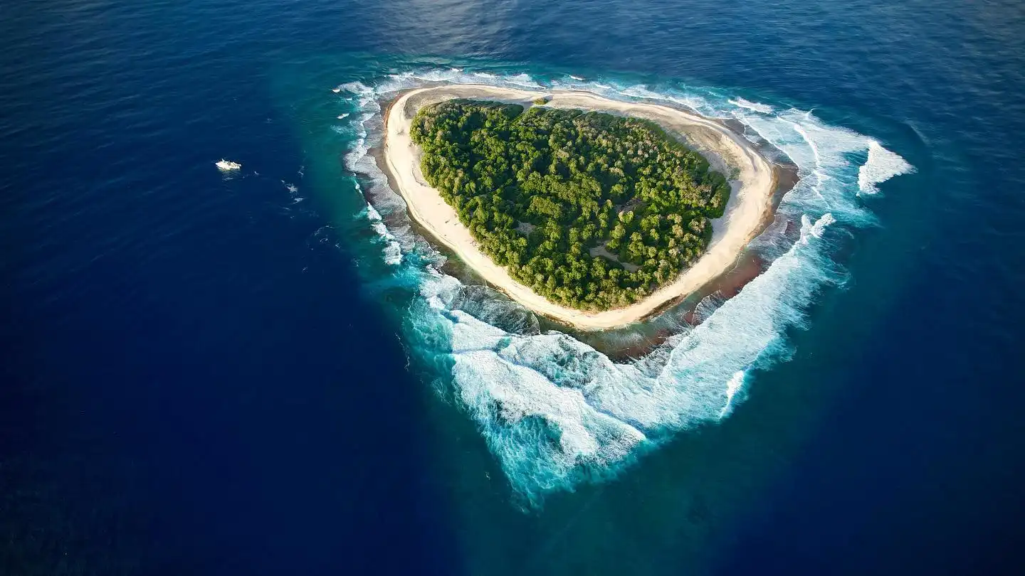 A tudósok felfedték a „fekete lyuk” titkát a Csendes-óceánon Csendes-óceán, Faddej Bellingshausen, Kiribati, korallzátony, lakatlan sziget, madárvilág, orosz felfedezések, Pisonia, Vostok-sziget