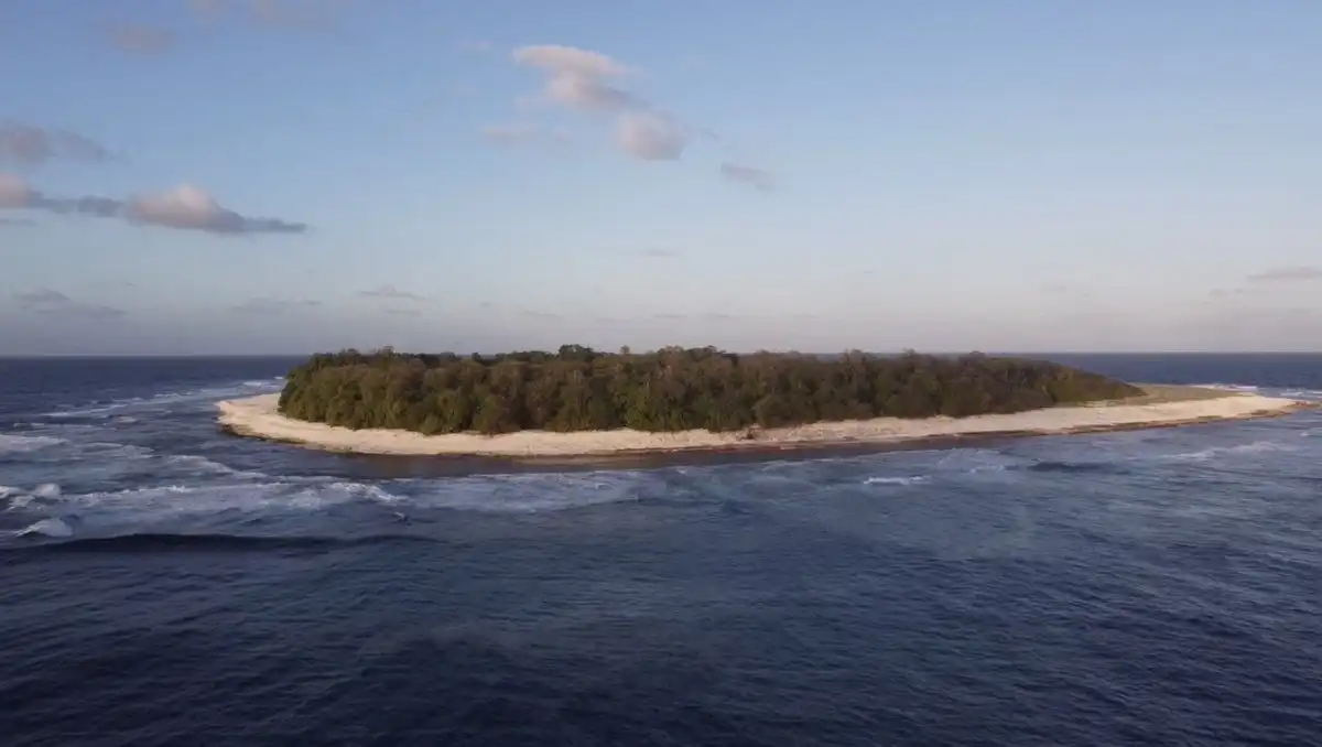 A tudósok felfedték a „fekete lyuk” titkát a Csendes-óceánon Csendes-óceán, Faddej Bellingshausen, Kiribati, korallzátony, lakatlan sziget, madárvilág, orosz felfedezések, Pisonia, Vostok-sziget