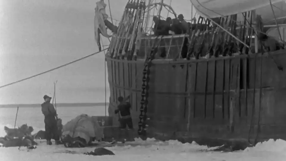 „Holt víz”: Miért álltak meg a hajók a tenger közepén Dead water, földrajz, Fram hajó, Fridtjof Nansen, Holt víz, Sarki expedíció, Tengerészet története, Tengeri csaták, természeti jelenségek, tudomány