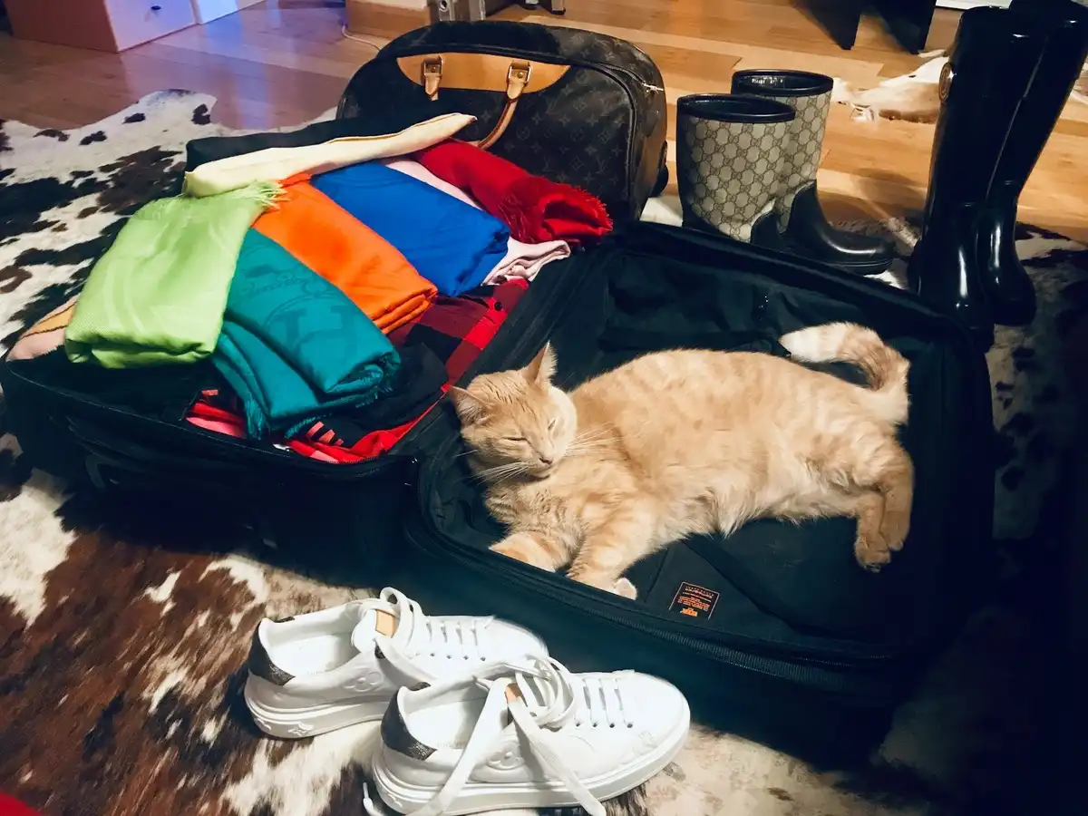 11 dolog, ami miatt kinyitják a bőröndödet a repülőtéren akkor is, ha nem vagy ott biztonsági ellenőrzések, feladott poggyász, poggyász ellenőrzés, poggyász szabályok, repülési biztonság, repülőtéri biztonság, repülőtéri poggyász, tilos poggyász, tiltott tárgyak, utazási tippek